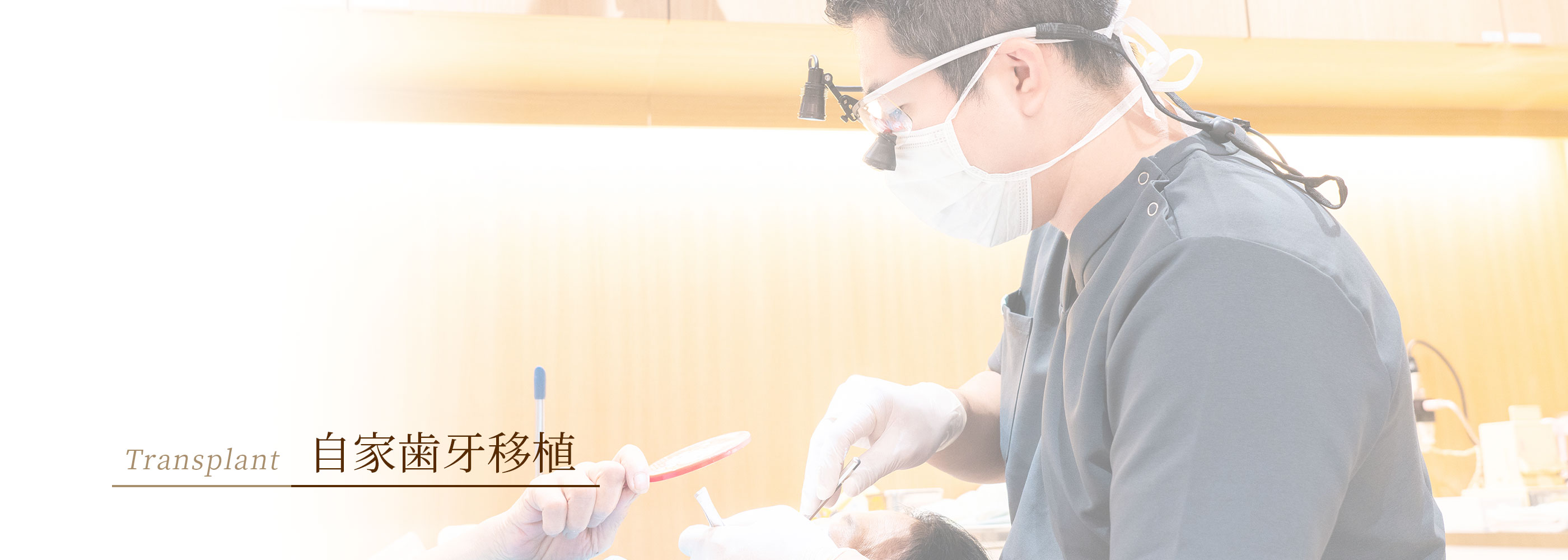 キービジュアル